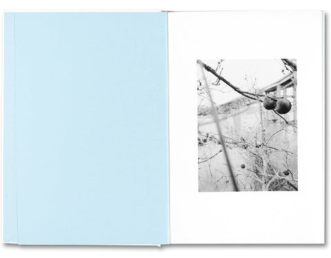 The things of the world are true / Somersault Special Edition - MACK