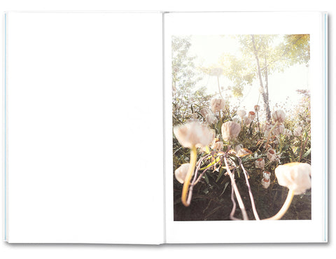 The things of the world are true / Somersault Special Edition - MACK