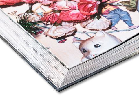 Ray's a Laugh - MACK