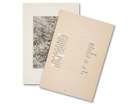 The things of the world are true / Somersault Special Edition - MACK