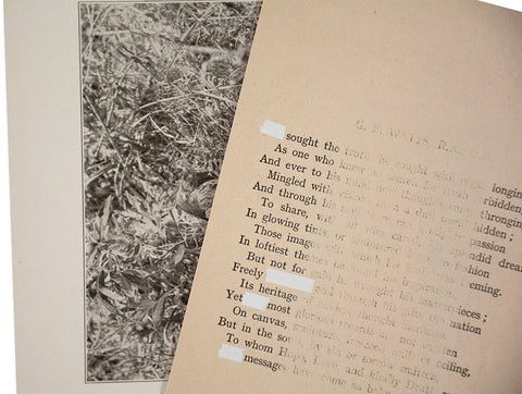 The things of the world are true / Somersault Special Edition - MACK