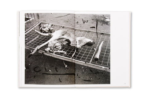 Photographic cover of "Restricted Images" photography book by SPBH Editions featuring Warlpiri art from Central Australia.
