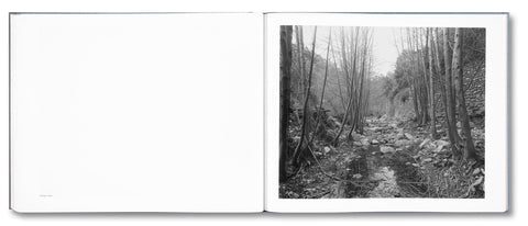 Rivers Run Through It - MACK