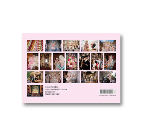 Making Marie Antoinette Postcards