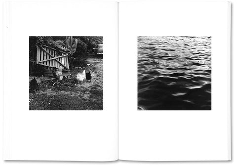 The Shabbiness of Beauty - MACK