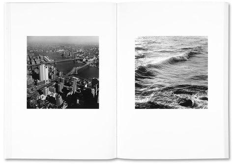 The Shabbiness of Beauty - MACK