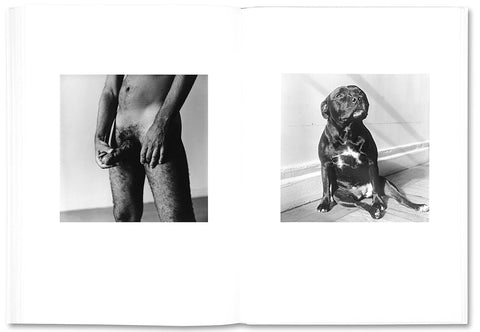 The Shabbiness of Beauty - MACK