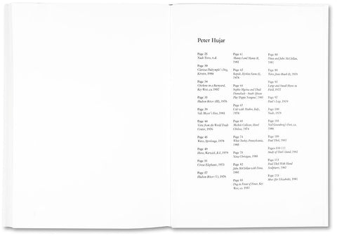 The Shabbiness of Beauty - MACK