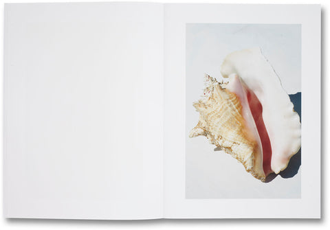Shelter Island  Roe Ethridge - MACK
