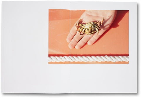 Shelter Island  Roe Ethridge - MACK