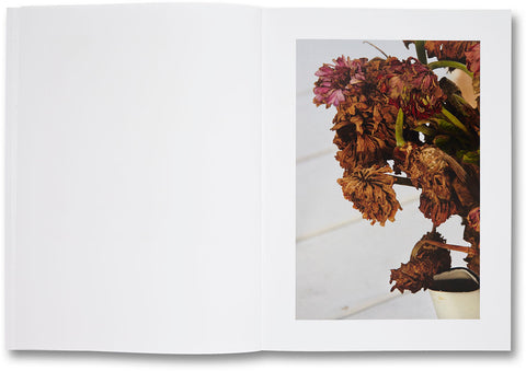 Shelter Island  Roe Ethridge - MACK