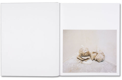 Speak The Wind - MACK