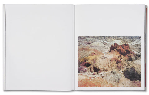 Speak The Wind - MACK