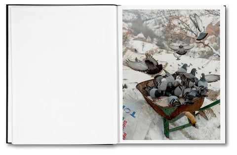 The Axe Will Survive the Master