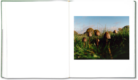 The British Isles - MACK