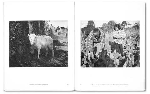 The Devil is leaving his Cave - MACK