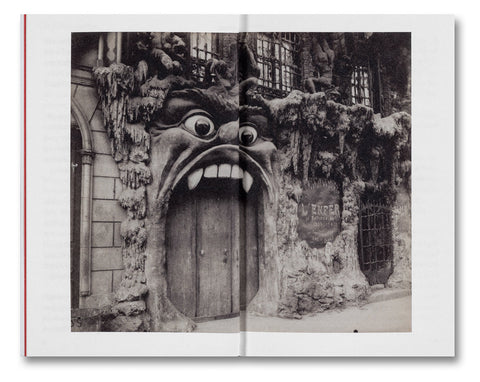 The Devouring Eye: Photography and the Mouth