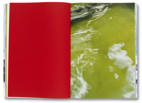 Nature & Politics  Thomas Struth - MACK