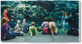 Nature & Politics <br> Thomas Struth - MACK