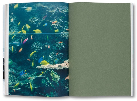 Nature & Politics  Thomas Struth - MACK
