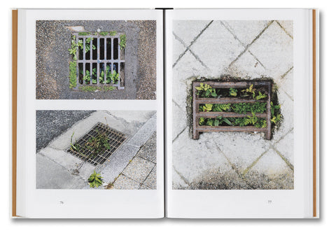 Weeds: A Germinating Theory