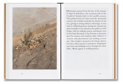 Weeds: A Germinating Theory