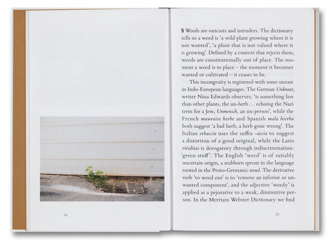 Weeds: A Germinating Theory