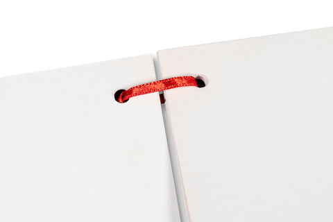 The Artist's Books Special Edition - MACK