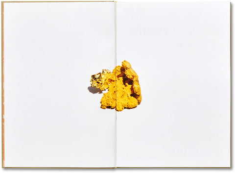 The Canary and The Hammer  Lisa Barnard - MACK