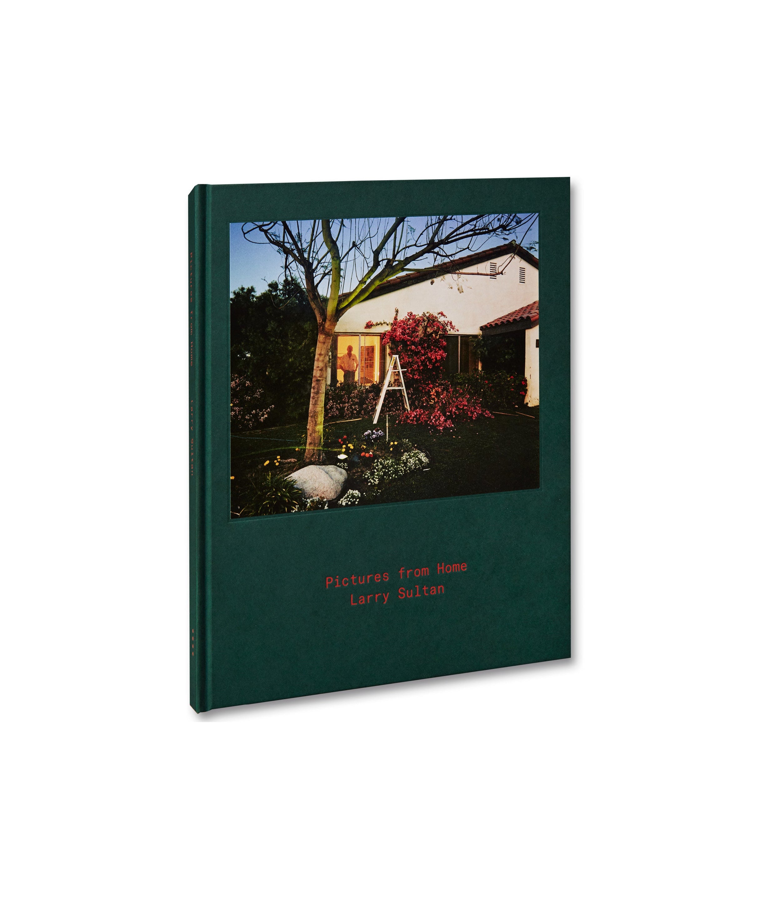 Pictures from Home by Larry Sultan