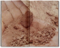 La Bête un conte moderne <br> Yasmina Benabderrahmane [French Edition] - MACK