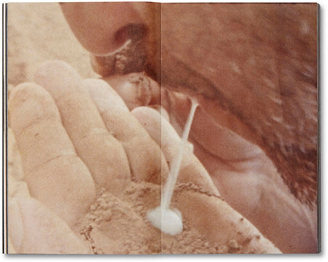 La Bête un conte moderne  Yasmina Benabderrahmane [French Edition] - MACK