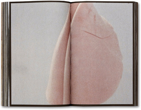 La Bête un conte moderne  Yasmina Benabderrahmane [French Edition] - MACK