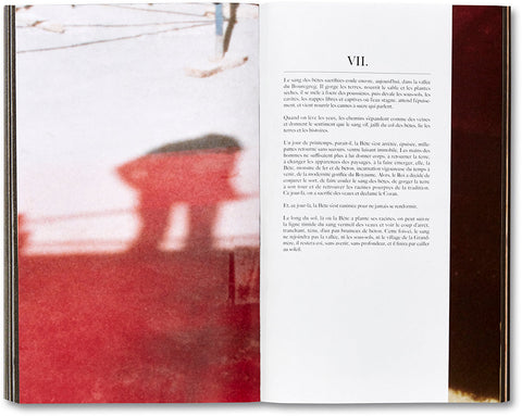 La Bête un conte moderne  Yasmina Benabderrahmane [French Edition] - MACK