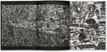 The Castle <br> Richard Mosse <br> (First printing) - MACK