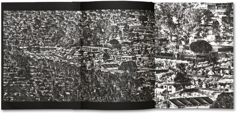 The Castle  Richard Mosse  (First printing) - MACK