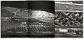 The Castle <br> Richard Mosse <br> (First printing) - MACK