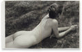 Neighbours Nachbarn <br> Collier Schorr - MACK
