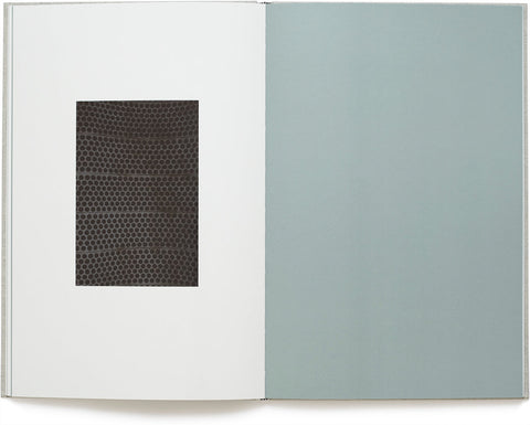 A Partial Eclipse  Martin Boyce - MACK