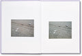 a shimmer of possibility <br> Paul Graham - MACK