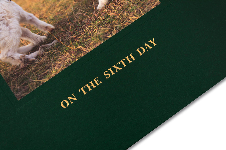 On the Sixth Day <br> Alessandra Sanguinetti