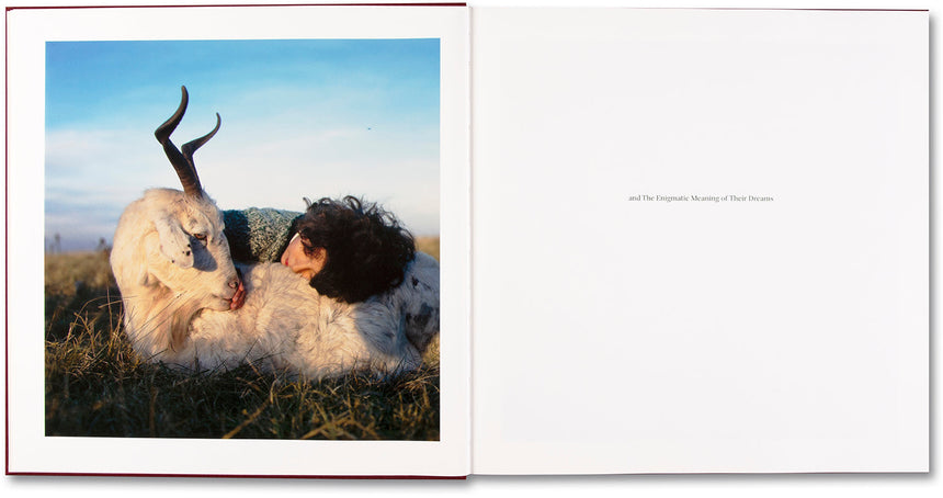 The Adventures of Guille and Belinda and The Enigmatic Meaning of Their Dreams <br> Alessandra Sanguinetti