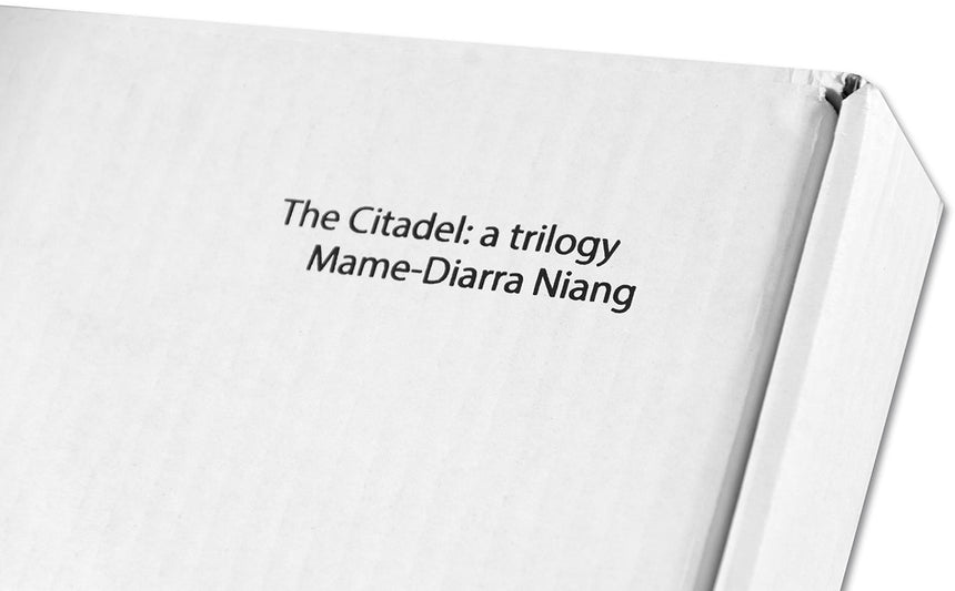 The Citadel: a trilogy <br> Mame-Diarra Niang