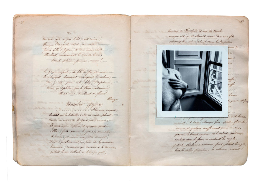 The Artist's Books Special Edition <br> Francesca Woodman