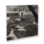 Passing Through Eden <br> Tod Papageorge - MACK