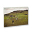 European Fields <br> Hans van der Meer - MACK